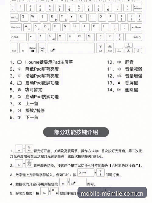 M6米乐网页版使用技巧全面解析：突破传统体验的深度探索