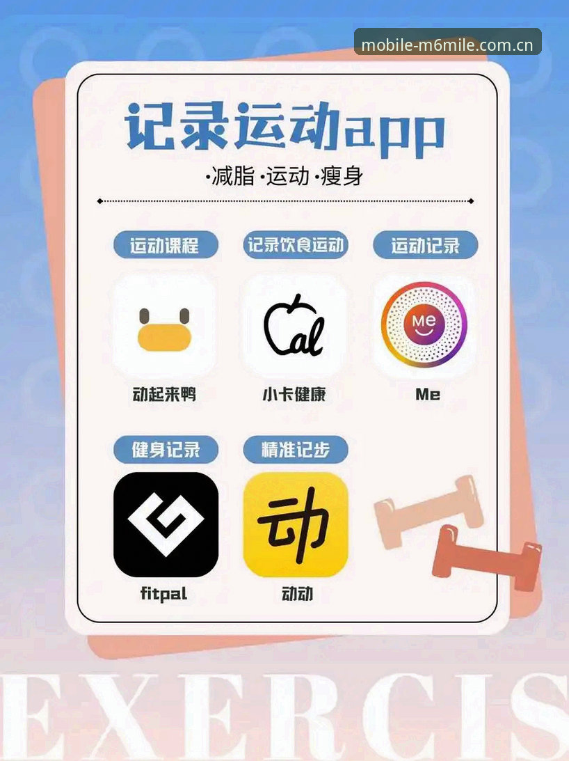 M6米乐体育APP使用指南：从入门到精通的完整攻略